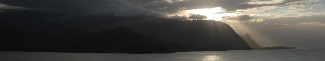 wewillfigureitoutblog