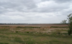 You can walk across Lake Wichita from the south shore of Fairway Blvd
