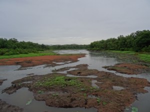 WMWR - Near Campsite