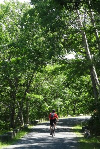 Trey leading the way on one of Acadia's carriage roads