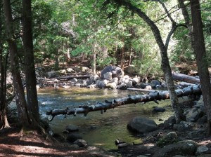 Lake Placid's Peninsula Trail