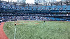 Great view even from the cheap seats!