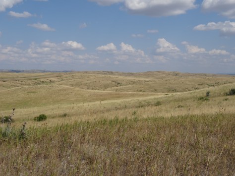 Little Bighorn Battlefield National Monument