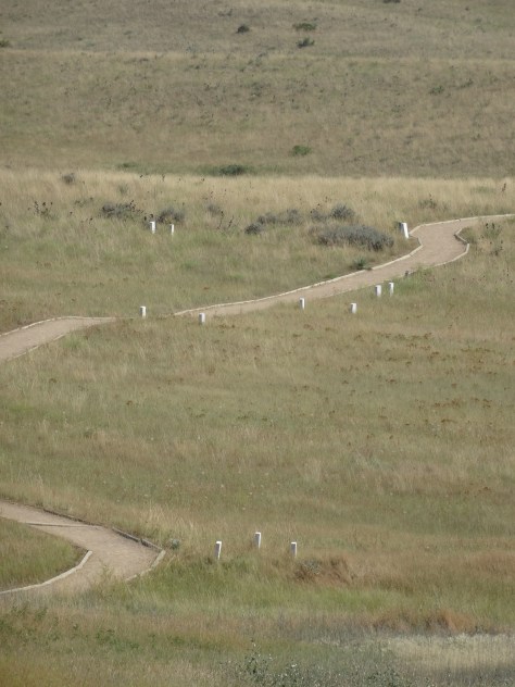 Path through Little Bighorn Battlefield