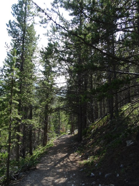 Basin Creek Lakes Trail