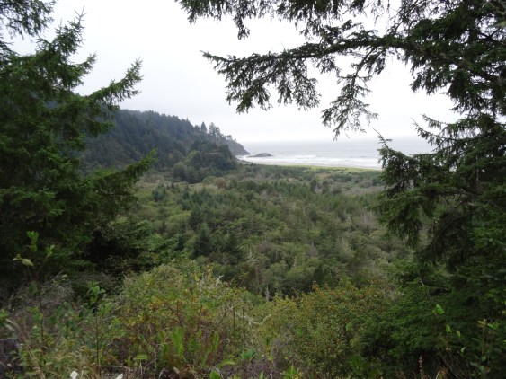 Between Lake Quinault and Astoria