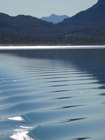 Glacier Bay, Alaska (2)