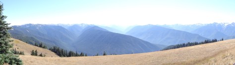 Olympic Natl Park from Hurricane Ridge