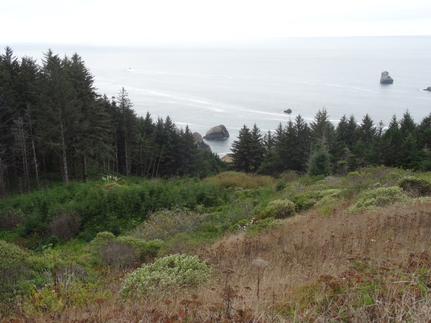 Oregon Coast 5