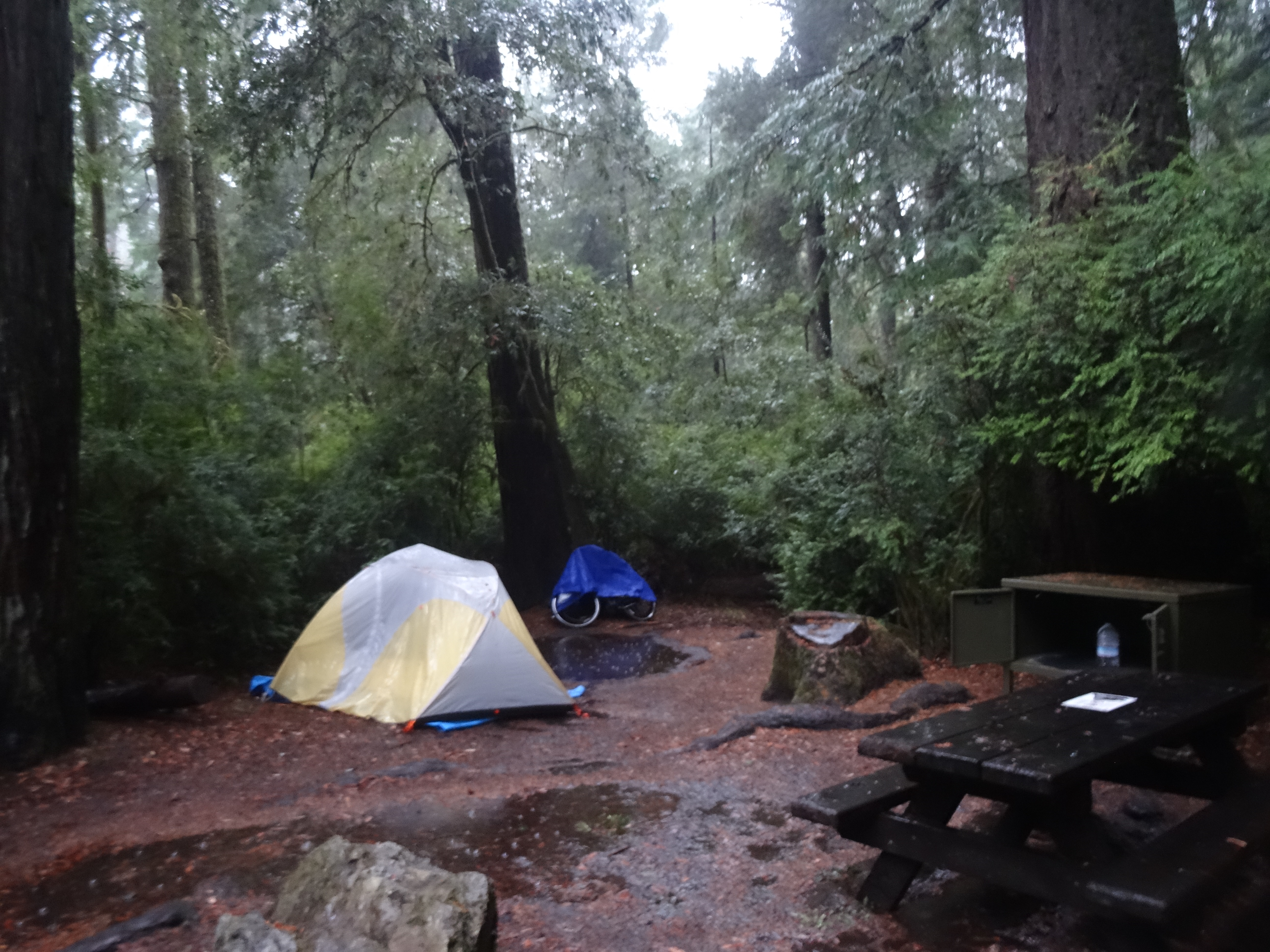 Rainy Campsite, JSRSP