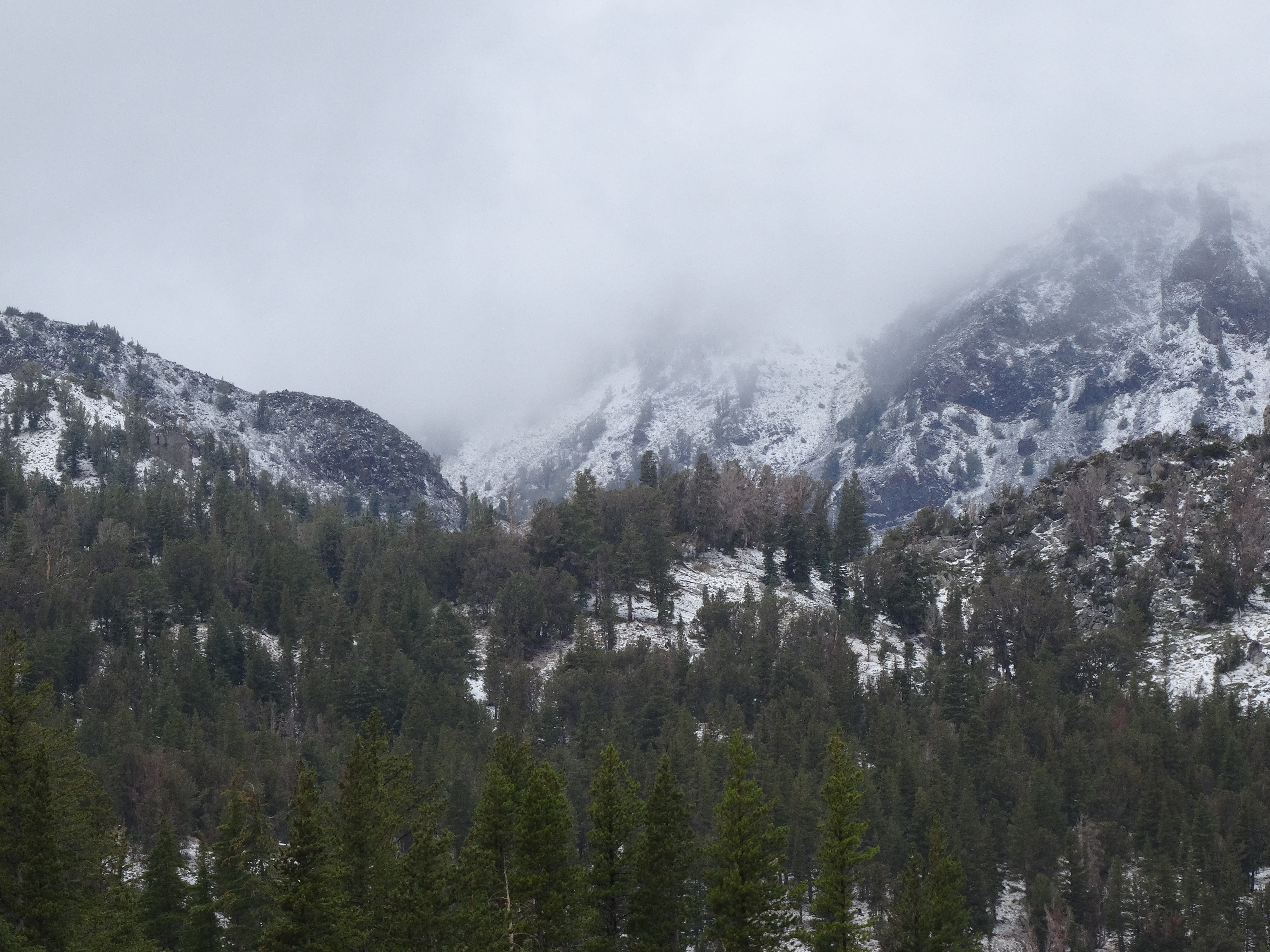 Snow dusting Mt. Rose in September 2014