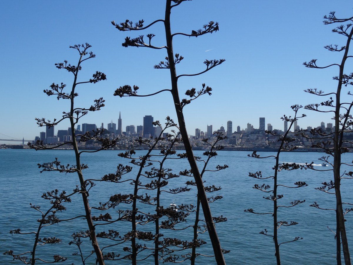 San Francisco, California ~ October 1 – 5, 2014