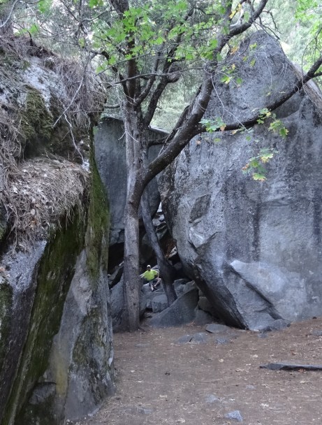 07.5 Lower Yosemite Falls Trail