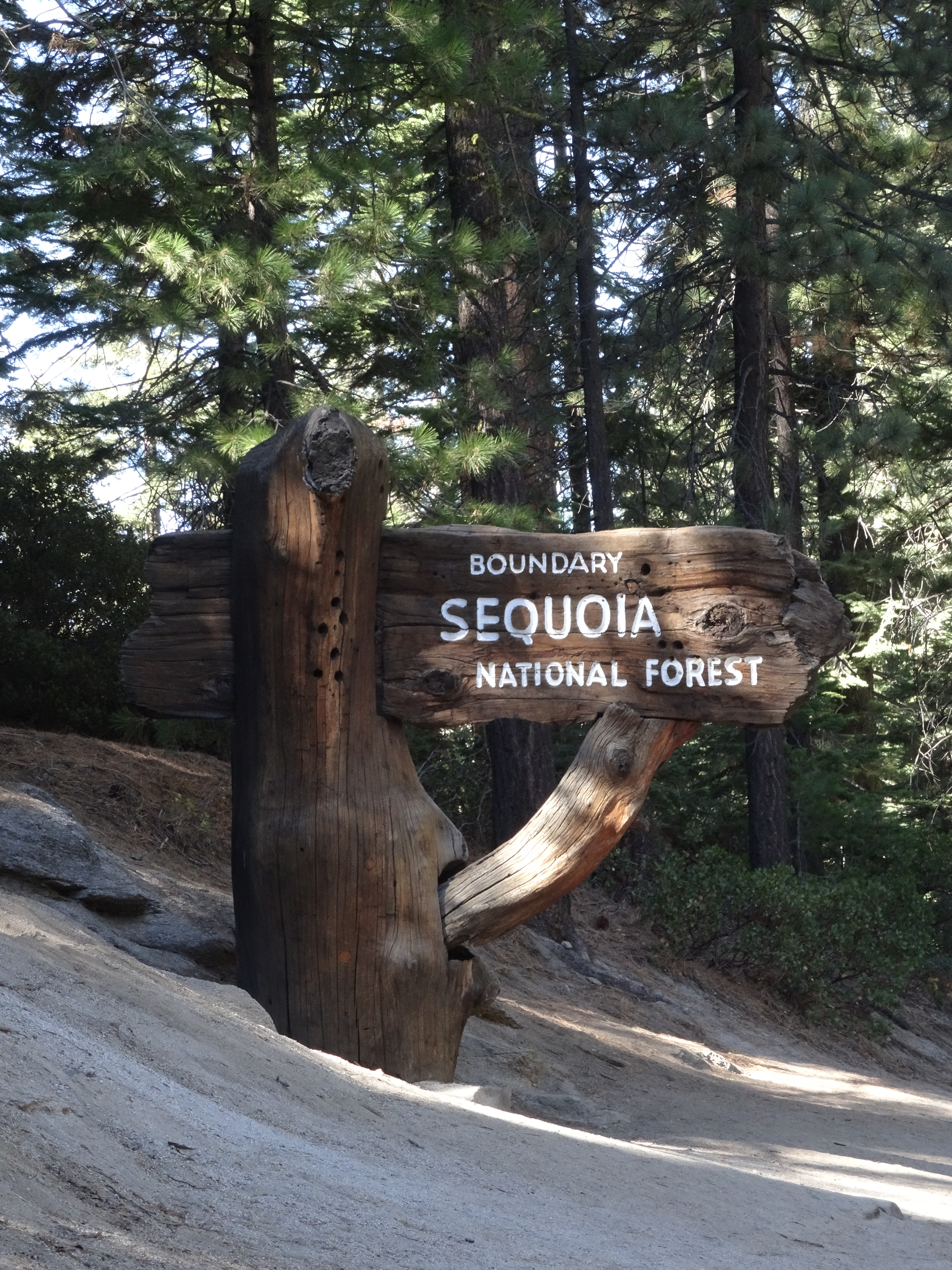 15 General's Hwy, Seqouia NP