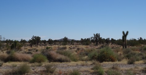 01 Approaching Las Vegas