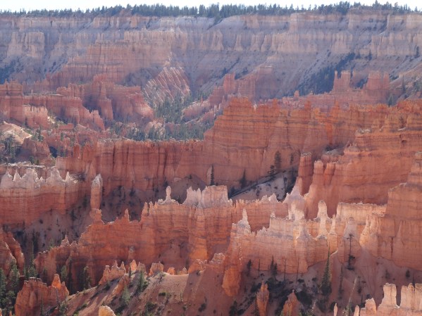 Queen's Garden Trail, Bryce Canyon NP 6