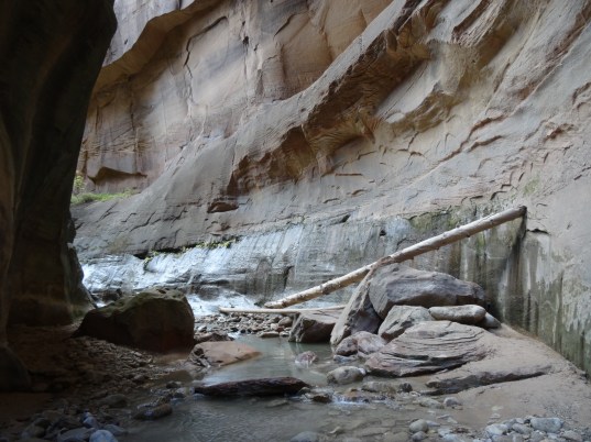 Turnaround Point, Orderville Gulch, The Narrows, Zion