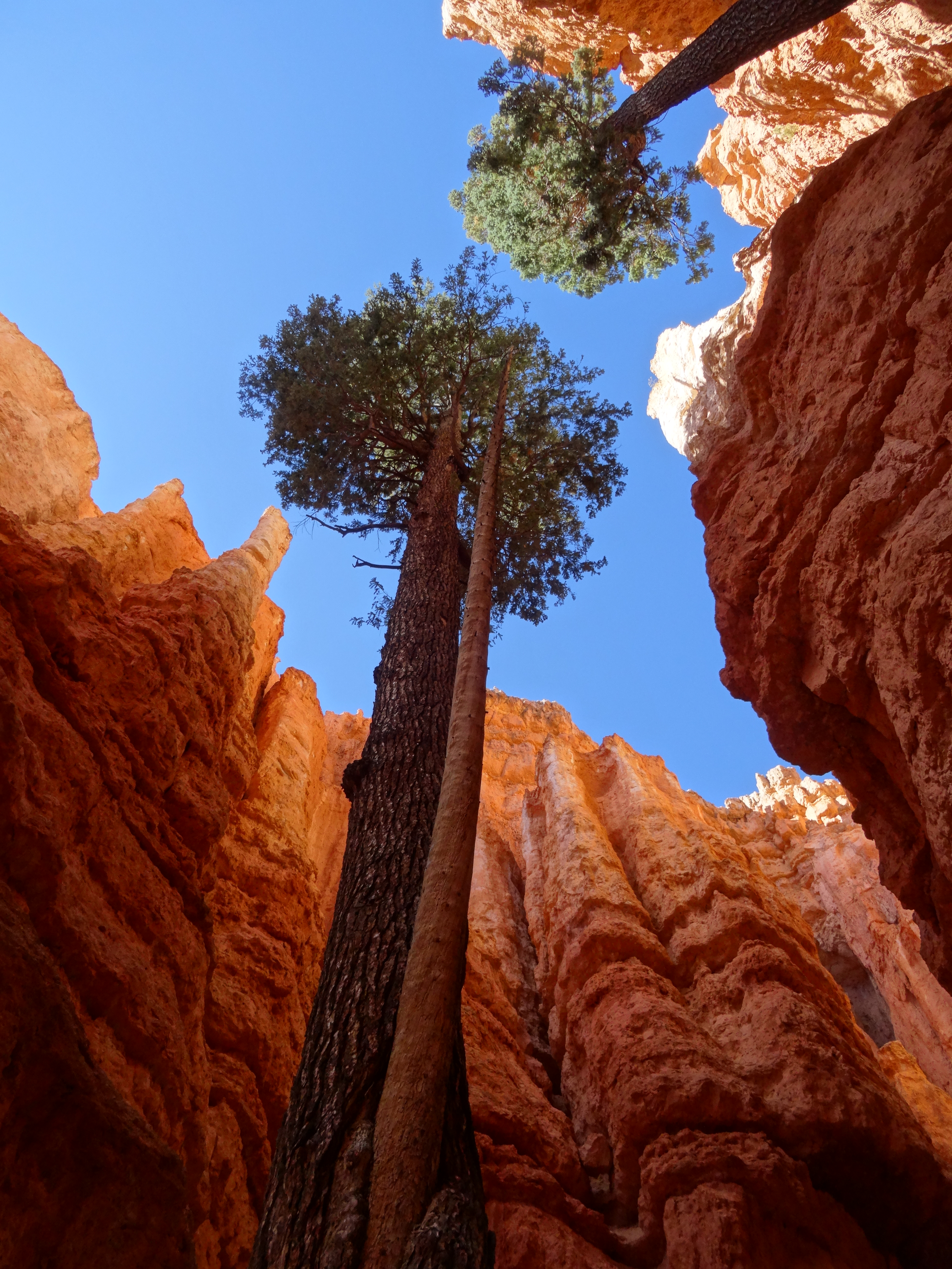Wall Street 1, Bryce Canyon NP