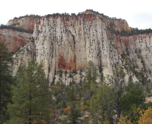 Zion East Side of Tunnel 4