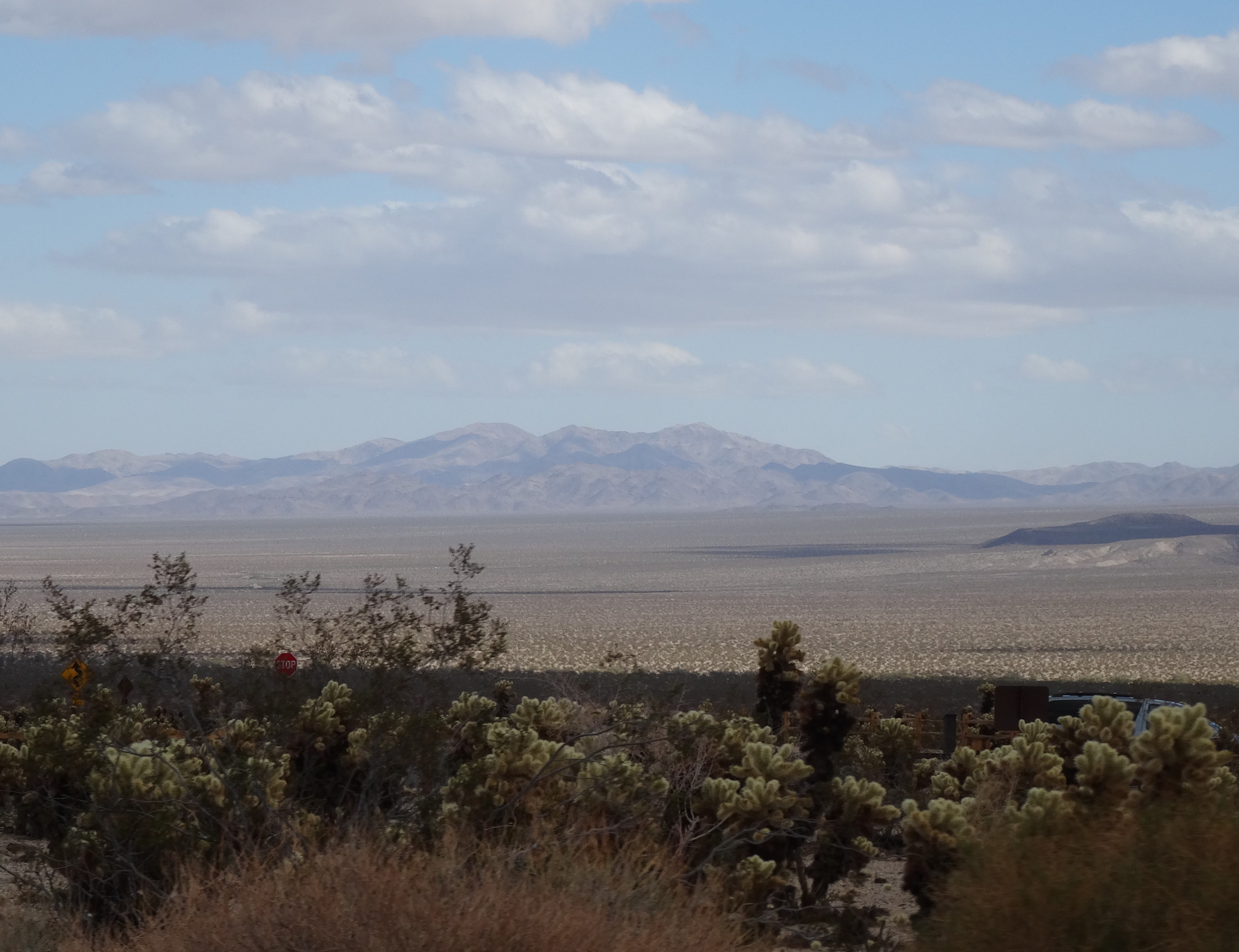 Pinto Basin, Joshua Tree NP