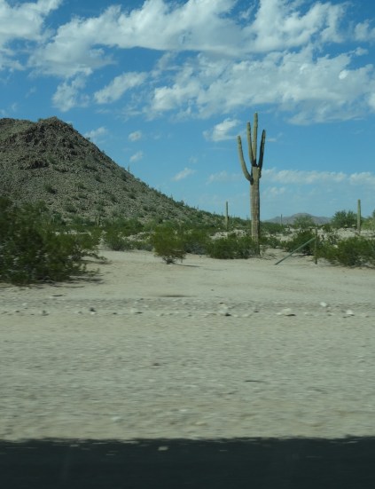 Sonoran Desert From Hwy 238 AZ 2