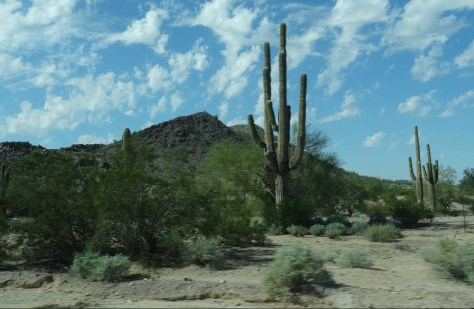 Sonoran Desert From Hwy 238 AZ 3