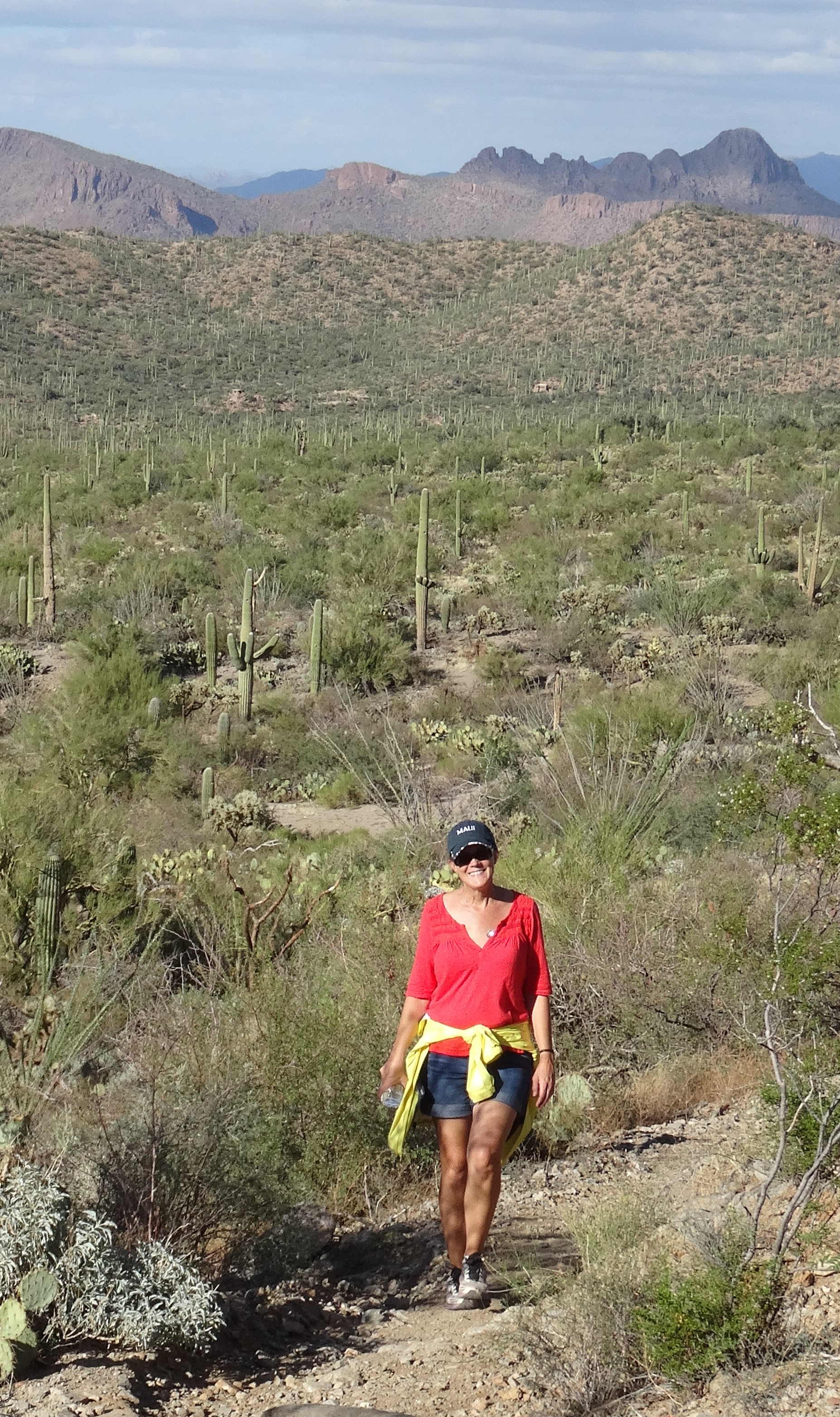 Sendero-Esperanza Trail, Saguaro NP W 2