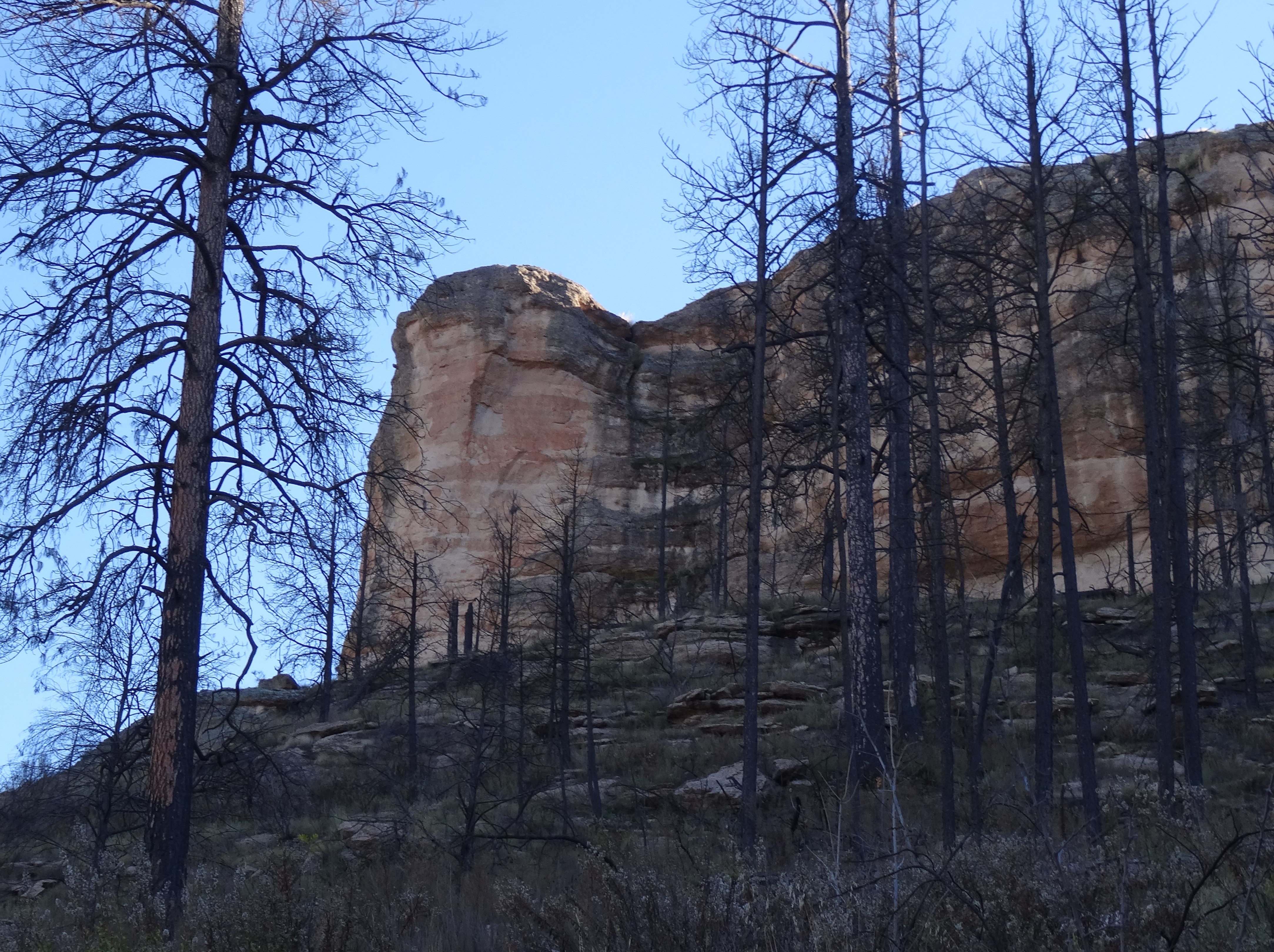 Gila Canyon, Cliff Dwellings Nat'l Monument
