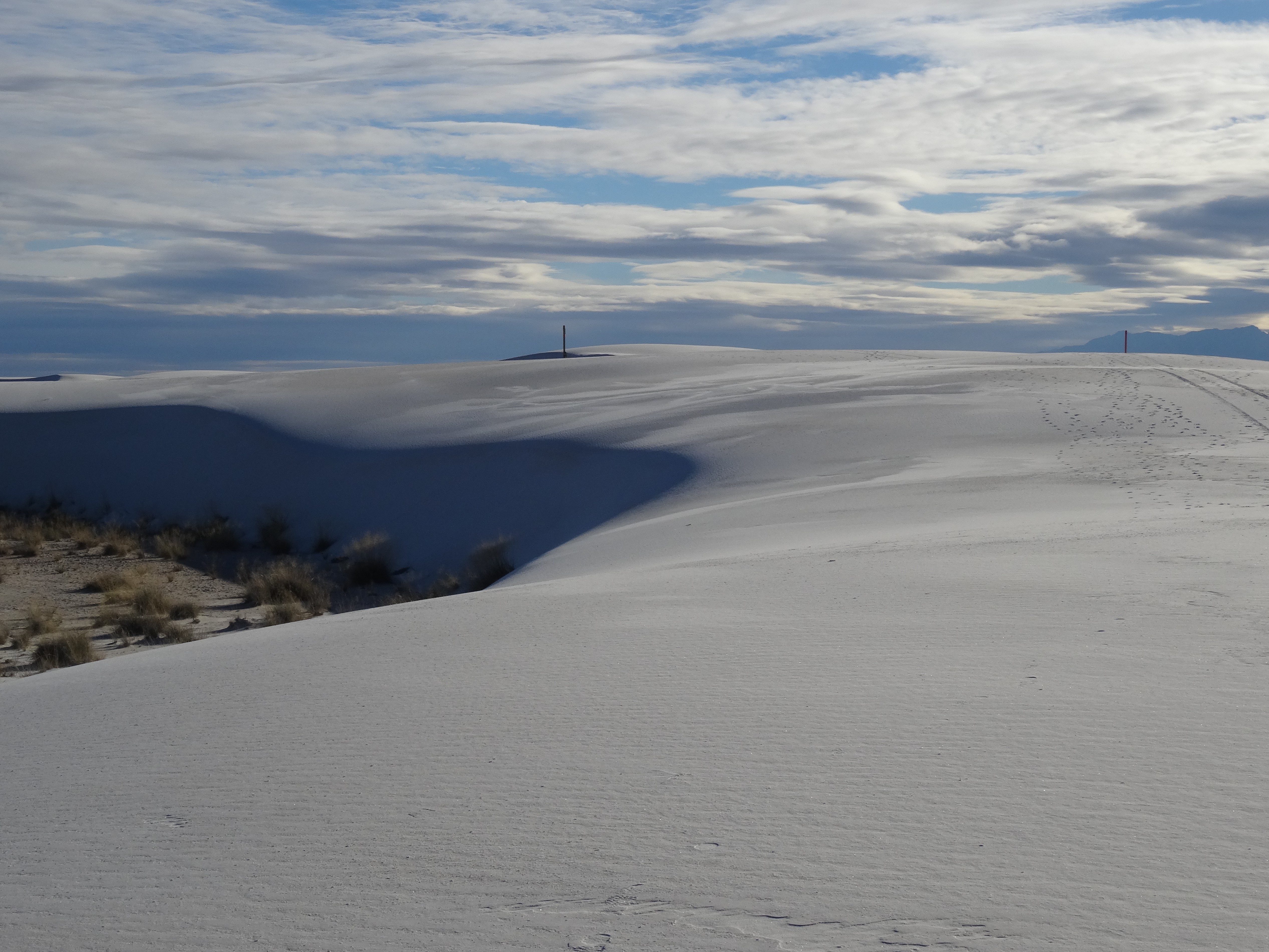 Trail Markers, White Sands National Monument